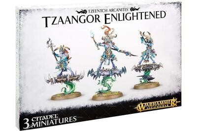 Warhammer AoS Disciples Of Tzeentch Tzaangor Enlightened