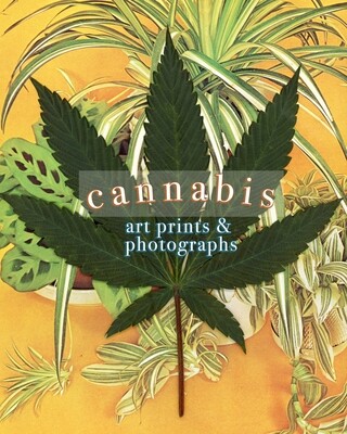 420 Friendly♡ 420 Friendly♡