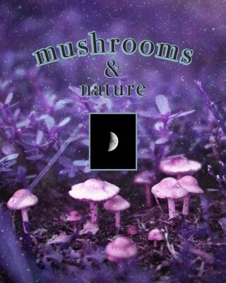 Mushrooms + Nature ♡