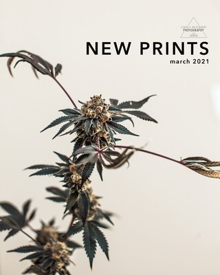 New Prints ♡ New Prints ♡