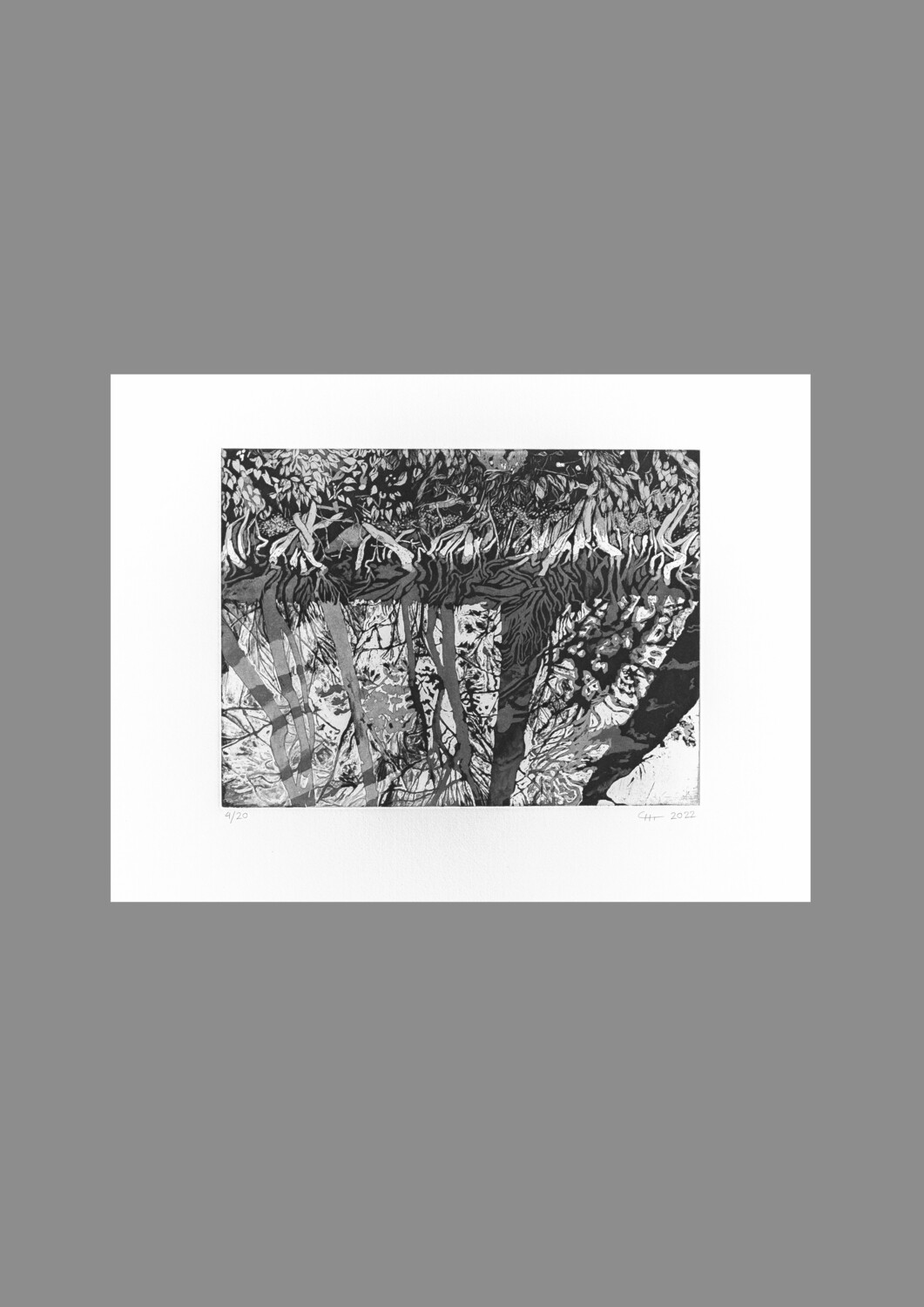 Beneath the reflected (etching)