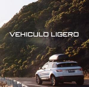 Coche