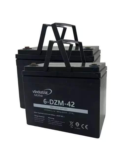 PACK 2 BATERIAS AGM 12v 42ah Ciclo Profundo