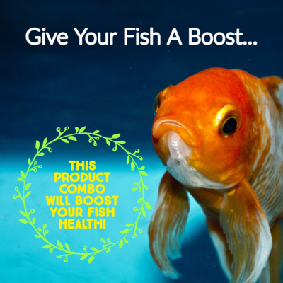 Immune Booster Combo Pack for Pond Fish Immune Booster Combo Pack for Pond Fish
