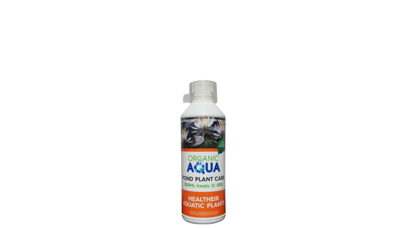 Pond Plant Care
