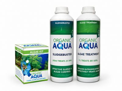 Algae Treatments