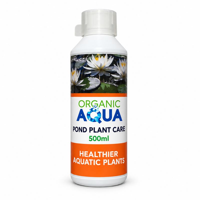 Pond Plant Care