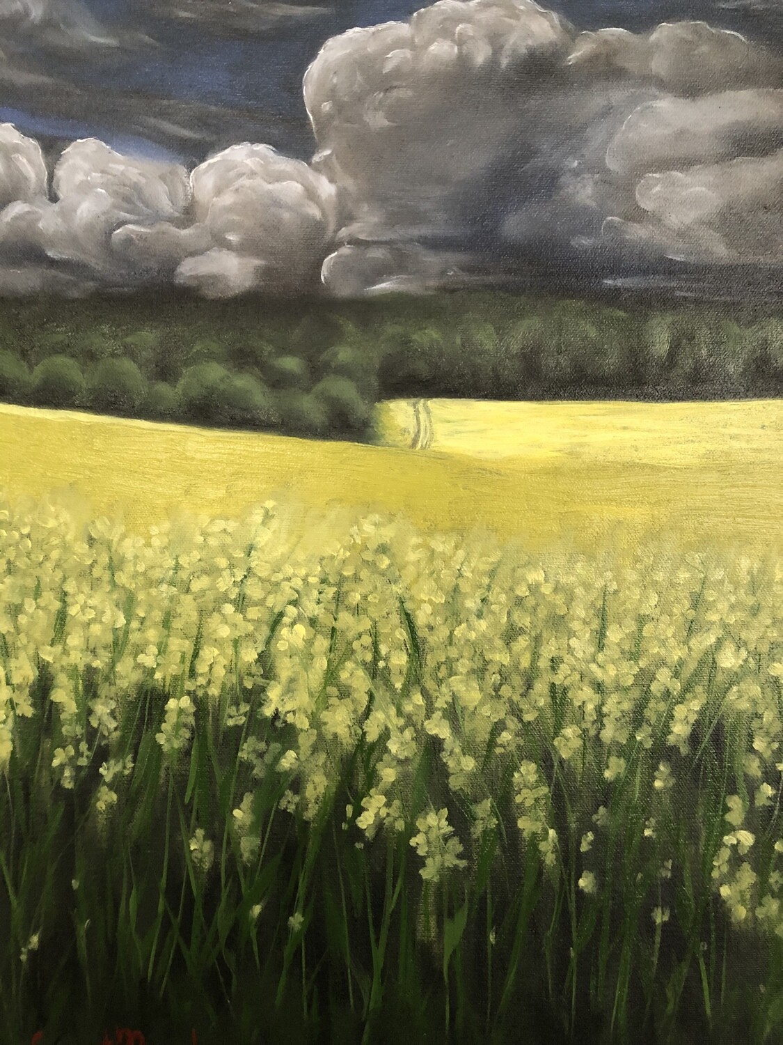 A)
“Mustard field” oil on canvas 18x14 inches