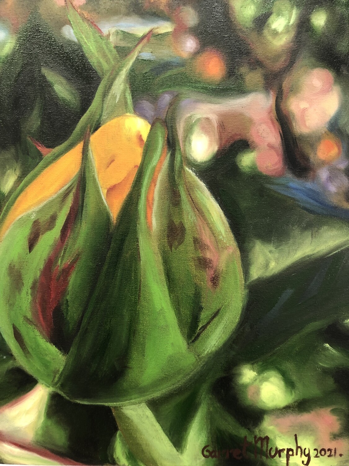 "Bud" oil on canvas 18X14 inches’