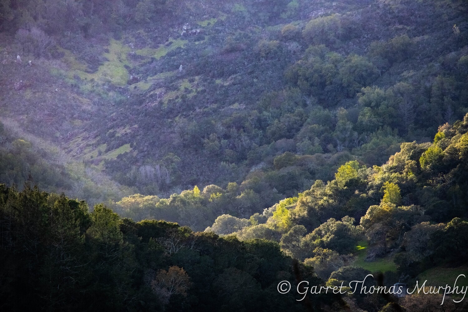 Napa Valley landscape