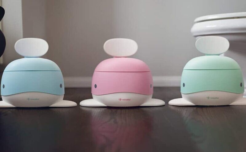 Potty Training Chair 