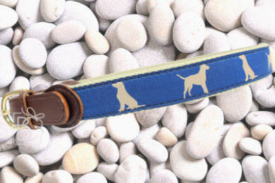 Dog Belt 