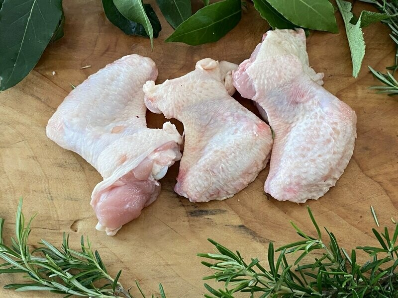 Alette di pollo