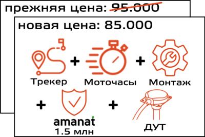 Трекер + моточасы + ДУТ + монтаж + страховка Amanat