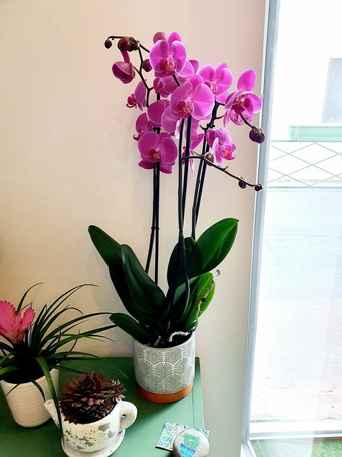 Orchidée 2 brins et pot déco