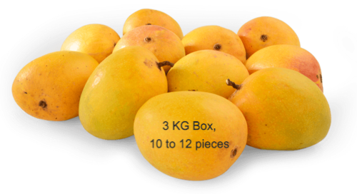 ALPHONSO