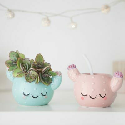 Cactus carita de ceramica esmaltada
