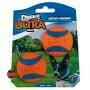 Chuck It Ultra Ball 2 Pack Medium