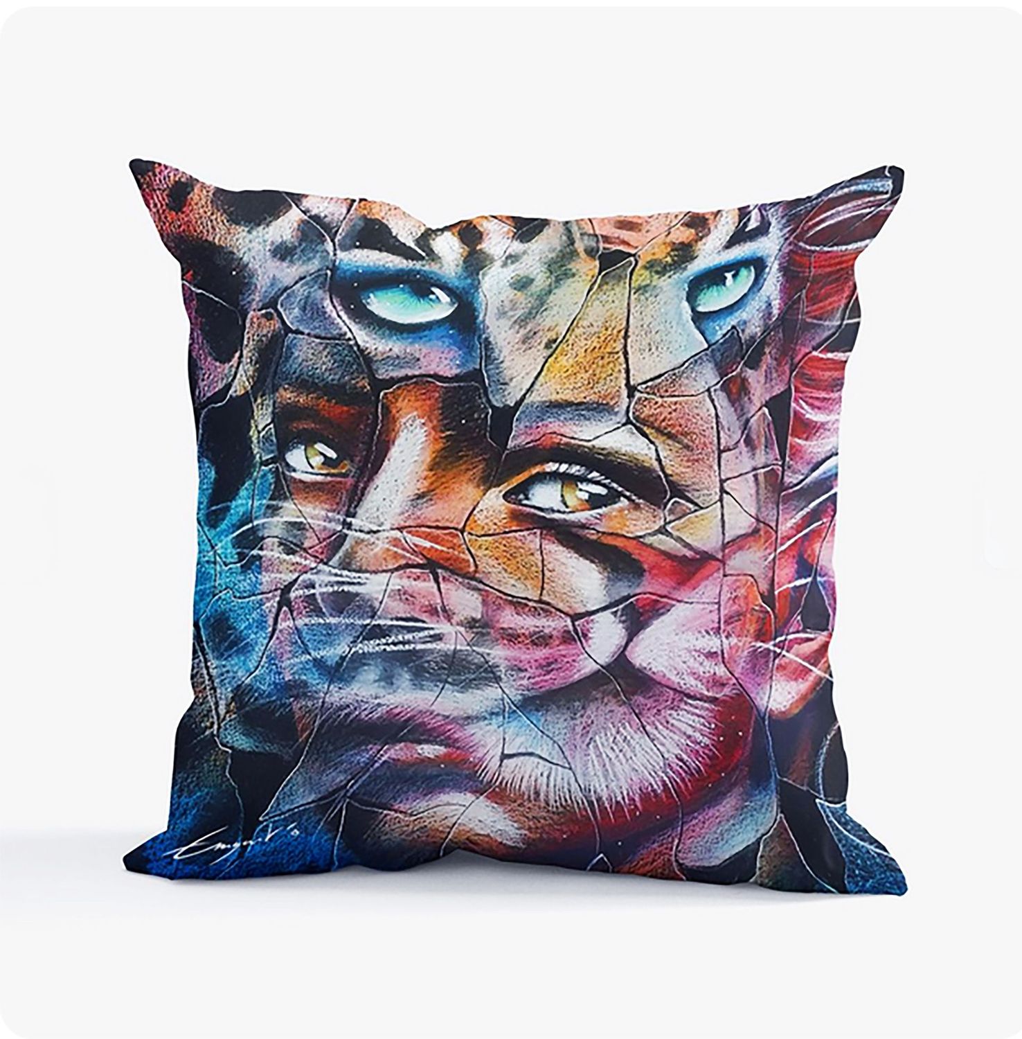 COUSSIN / MÉTAMORPHOSE