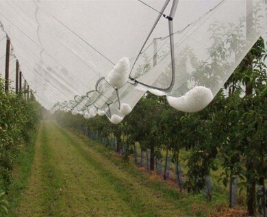 Birds &amp; Hail Protection agricultural net – Durable Crop Safeguard