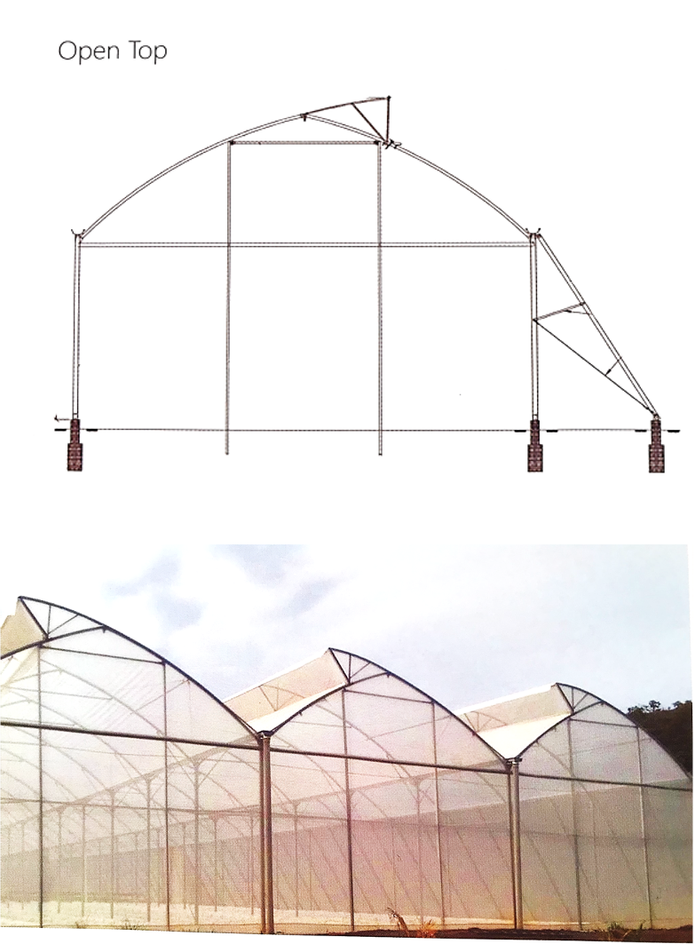 Multi-Span Greenhouse – High-Yield Protected Crop Farming