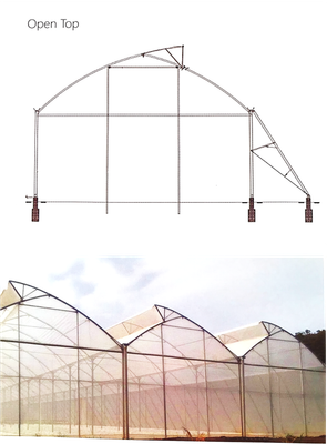 Multi-Span Greenhouse – High-Yield Protected Crop Farming