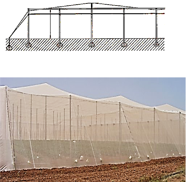 Two-Slope Nethouse | Advanced Crop Protection &amp; Climate Control