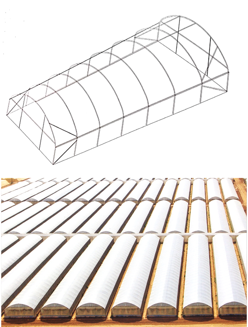 Tunnel Greenhouse – High-Performance &amp; Cost-Effective Crop Protection
