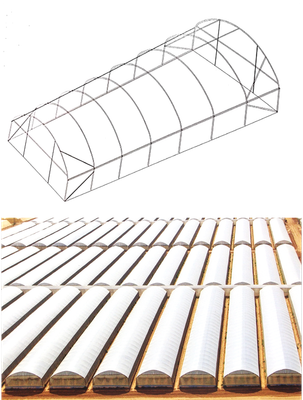 Tunnel Greenhouse – High-Performance &amp; Cost-Effective Crop Protection