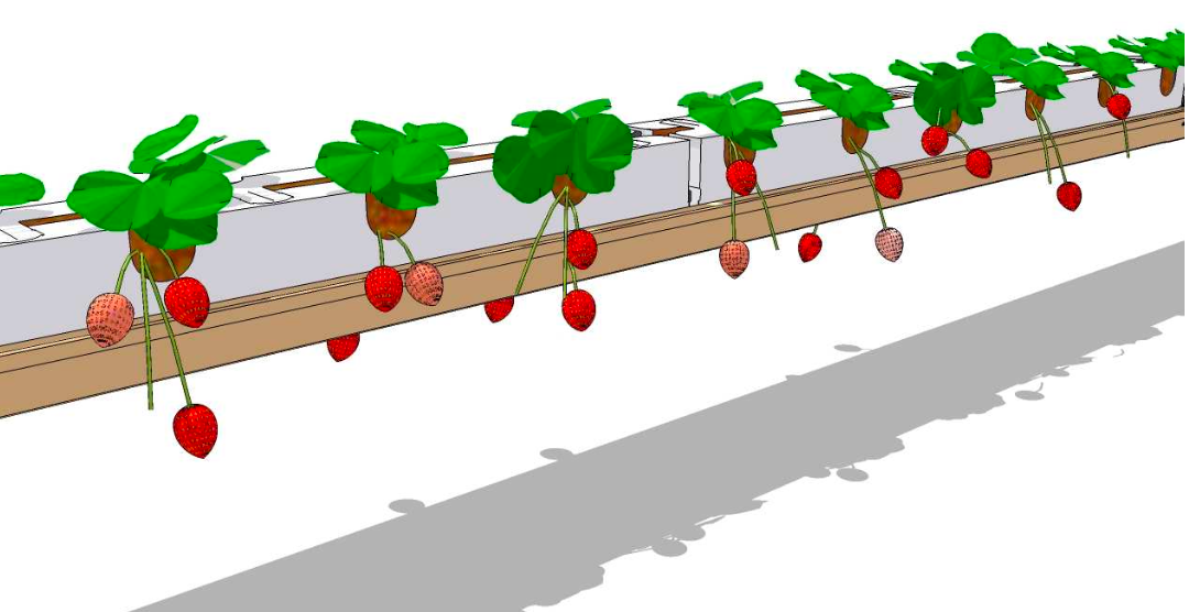 Strawberry Hydroponics PVC Container – High-Efficiency Growing System