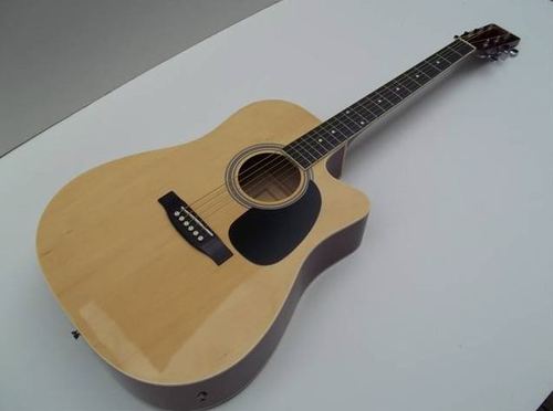 Eleca Acoustic/Electric Guitar