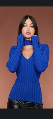 Cobalt rib knit top