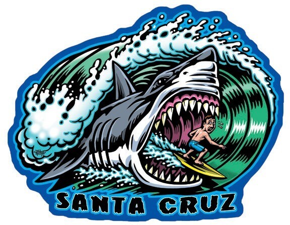 Shark Logo . Beach concept