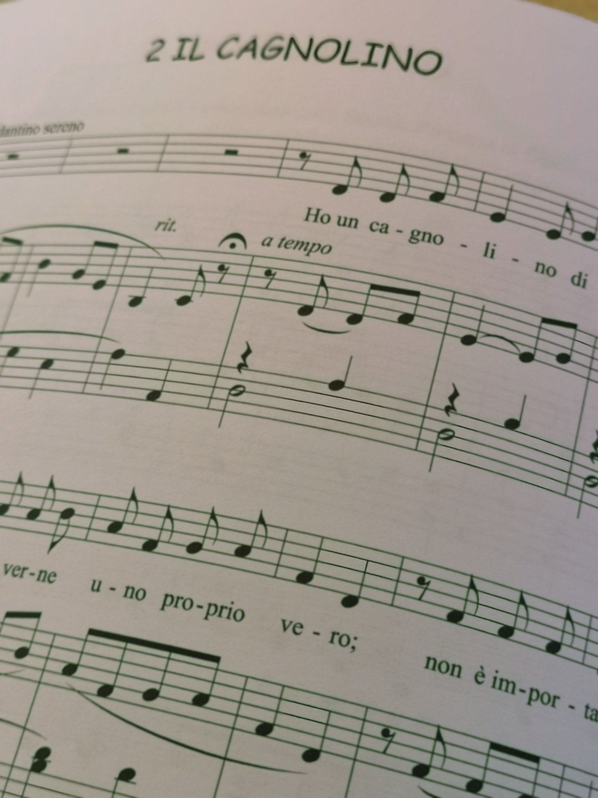 Gli animali, nostri amici.