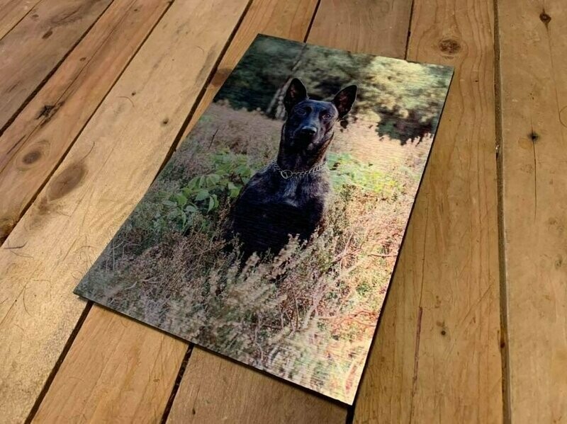Dibond bord bedrukt met foto/ logo d.m.v. sublimatie
