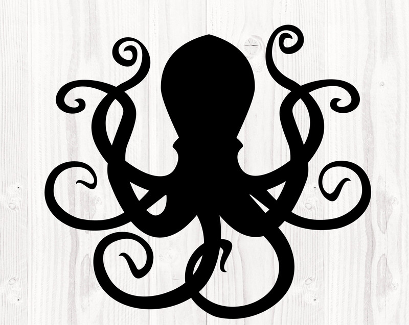 Octopus
