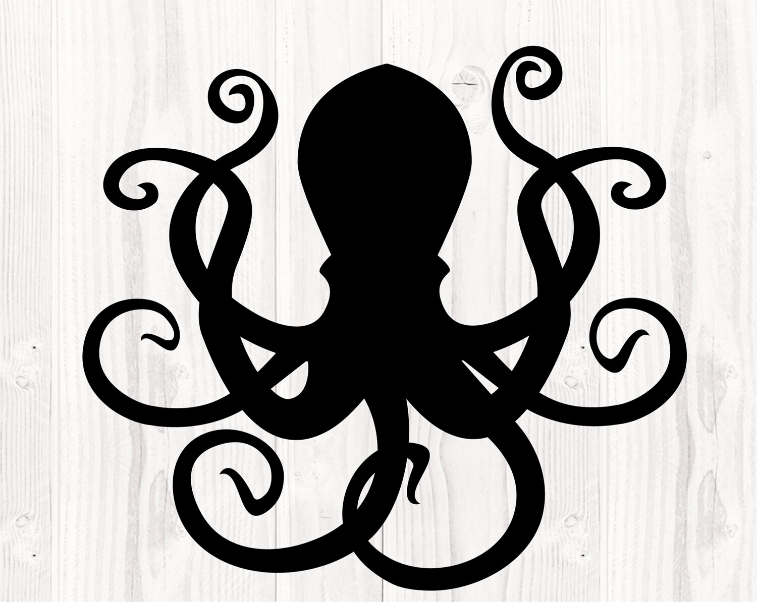 Octopus