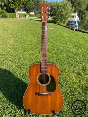 1979 Martin D-19