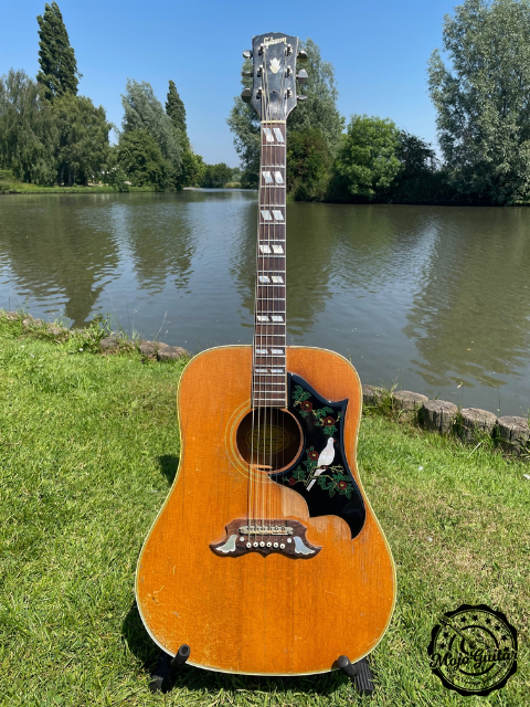 _1967 Gibson Dove (SOLD)