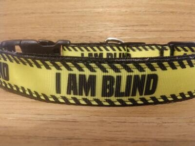 Collar and Leash Combo/ Large/ Blind Collar and Leash Combo/ Large/ Blind