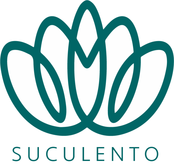 Suculento