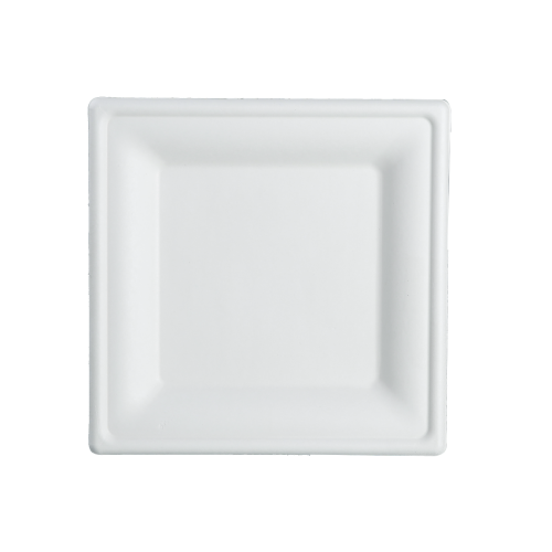 BIO Suikerrietbord Vierkant 20cm