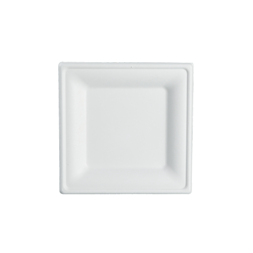 BIO Sugarcane Plate Square 16cm