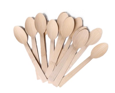 BIO Bamboo Spoon 17cm