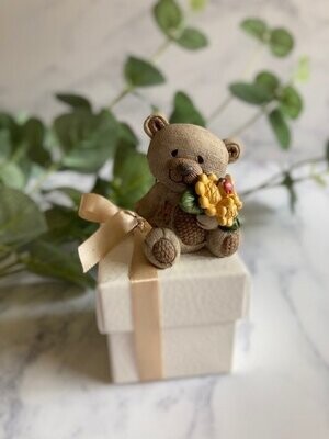 Teddy bear favour box
