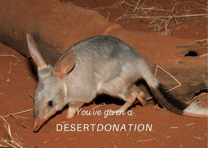 Desert Donation - Gift card