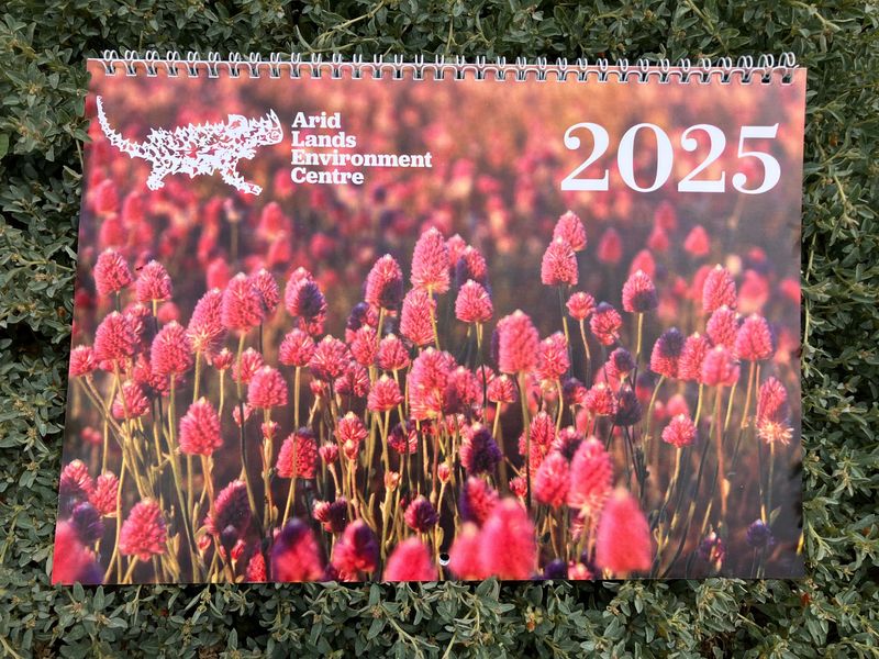 ALEC 2025 Calendar