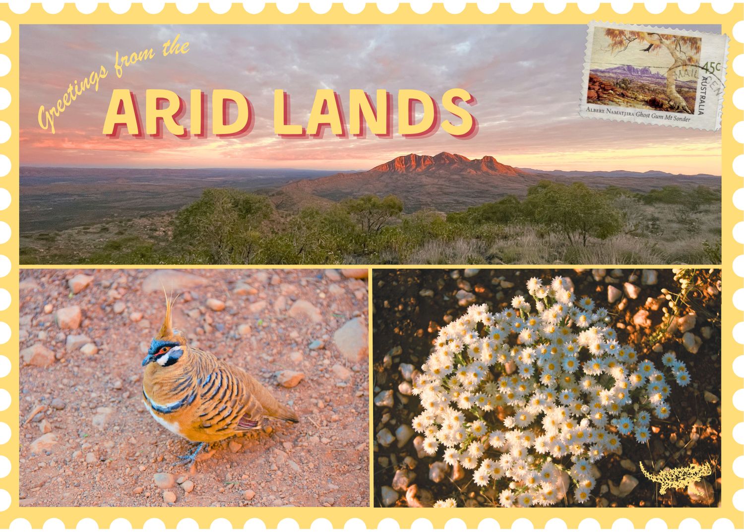 Pack of 3 Post Cards