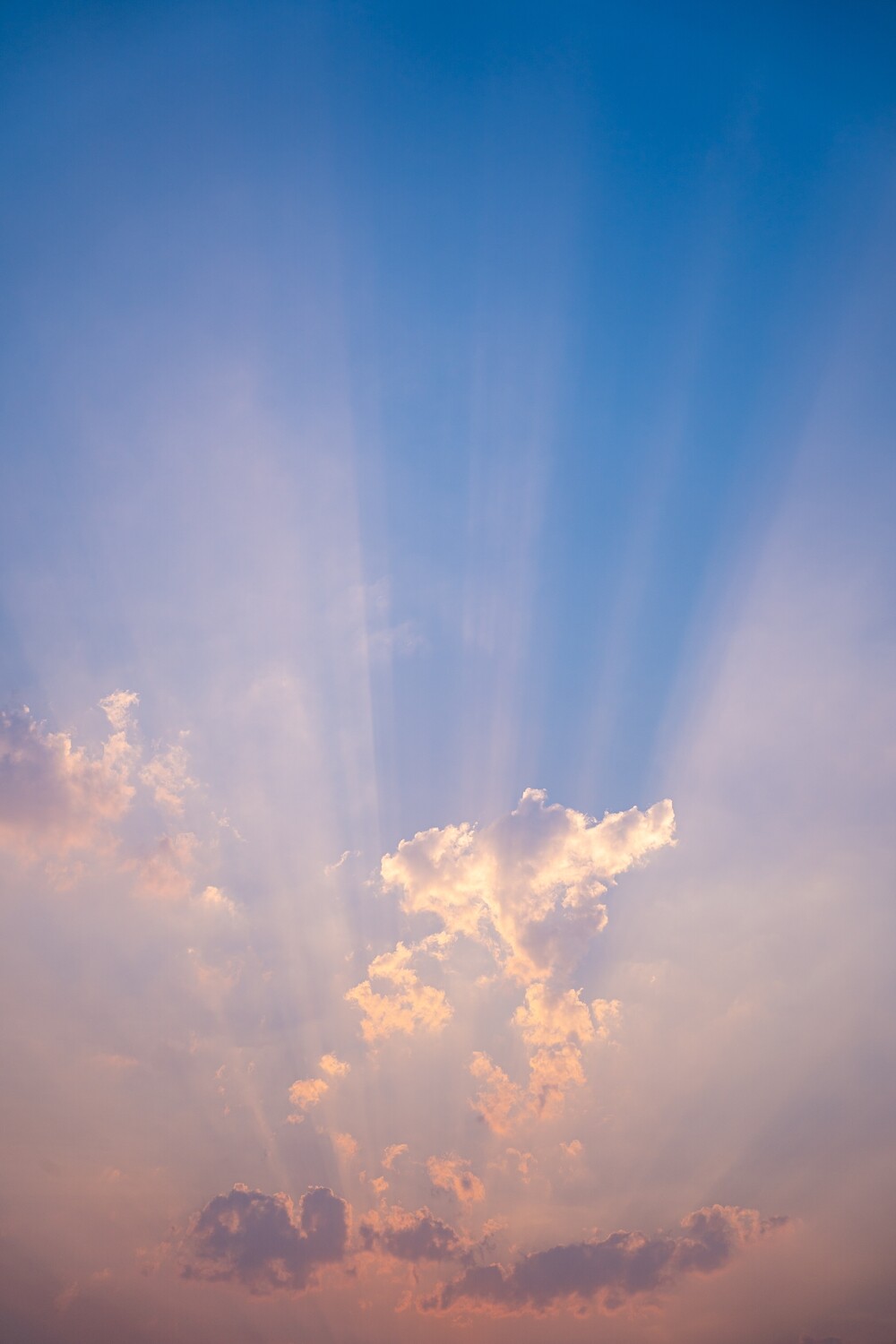 Ascendit Deus in Jubilatione