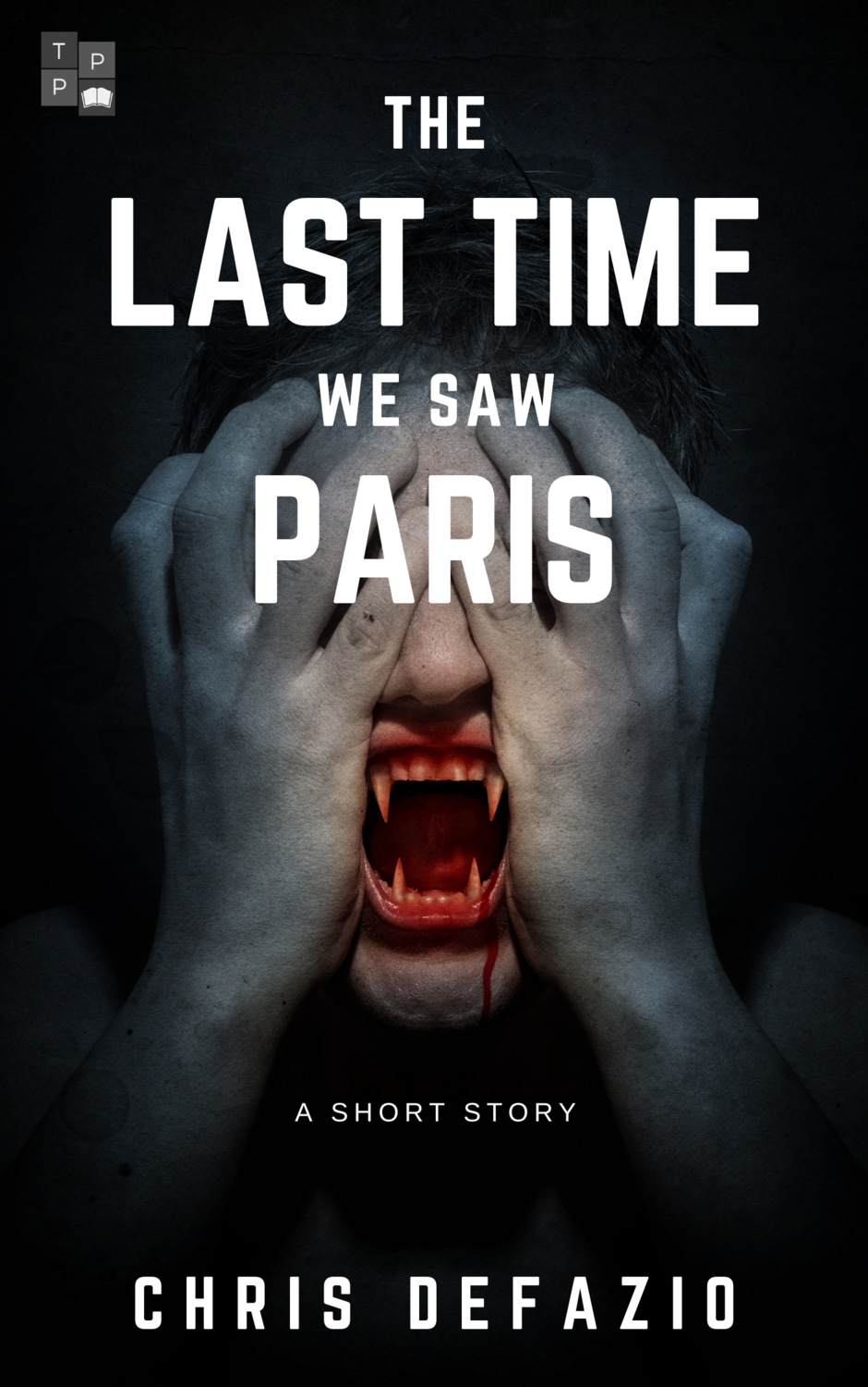 The Last Time We Saw Paris - a short story